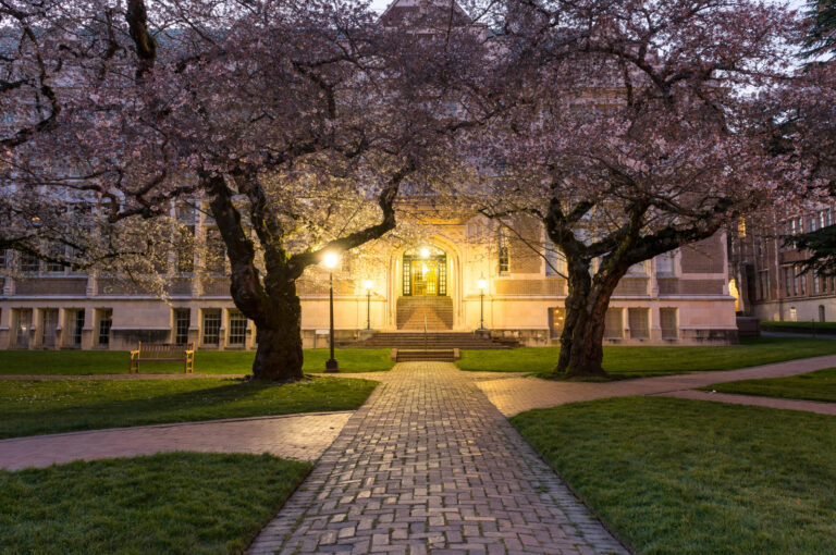 Cherry Trees on UW Campus for Trust Administration